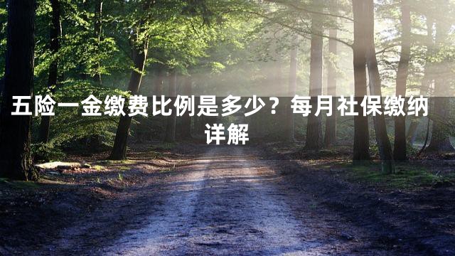 五险一金缴费比例是多少？每月社保缴纳详解