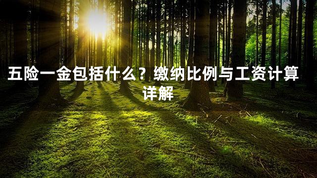 五险一金包括什么？缴纳比例与工资计算详解