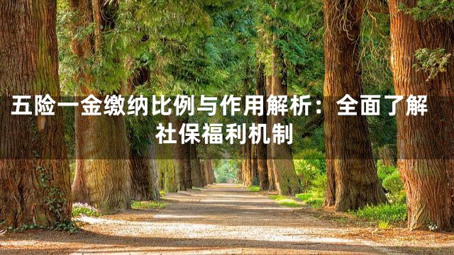 五险一金缴纳比例与作用解析：全面了解社保福利机制