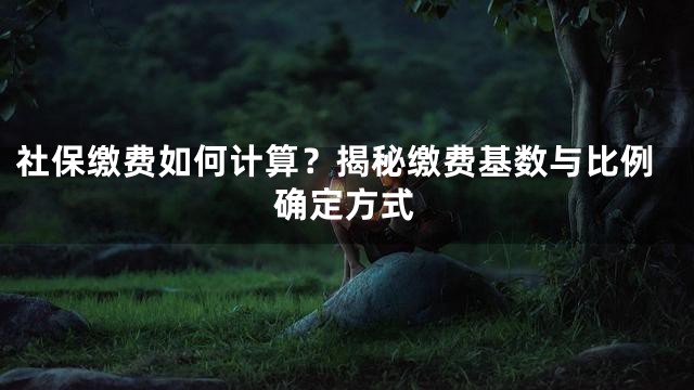 社保缴费如何计算？揭秘缴费基数与比例确定方式