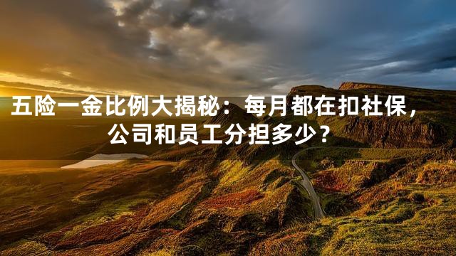 五险一金比例大揭秘：每月都在扣社保，公司和员工分担多少？