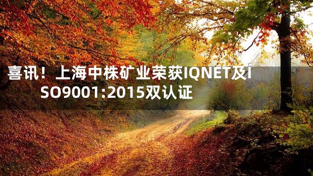 喜讯！上海中株矿业荣获IQNET及ISO9001:2015双认证