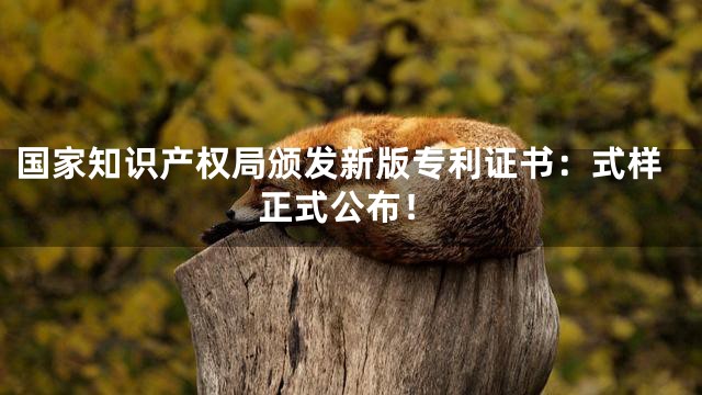国家知识产权局颁发新版专利证书：式样正式公布！