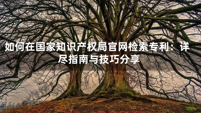 如何在国家知识产权局官网检索专利：详尽指南与技巧分享