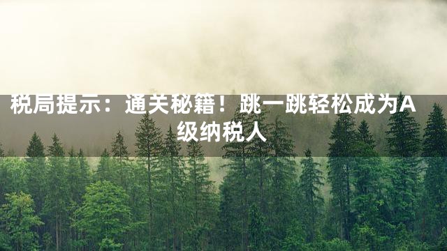 税局提示：通关秘籍！跳一跳轻松成为A级纳税人