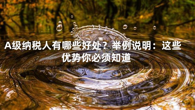 A级纳税人有哪些好处？举例说明：这些优势你必须知道