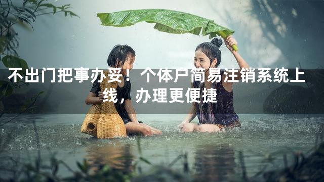 不出门把事办妥！个体户简易注销系统上线，办理更便捷