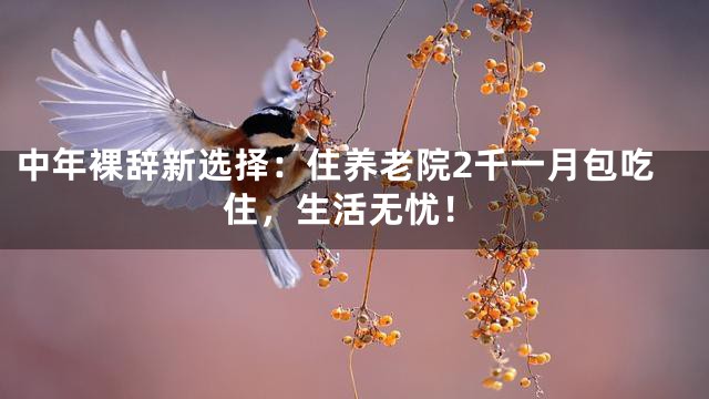中年裸辞新选择：住养老院2千一月包吃住，生活无忧！