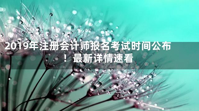 2019年注册会计师报名考试时间公布！最新详情速看