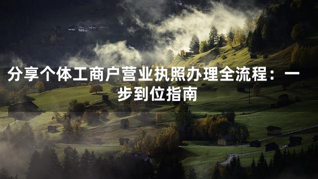 分享个体工商户营业执照办理全流程：一步到位指南