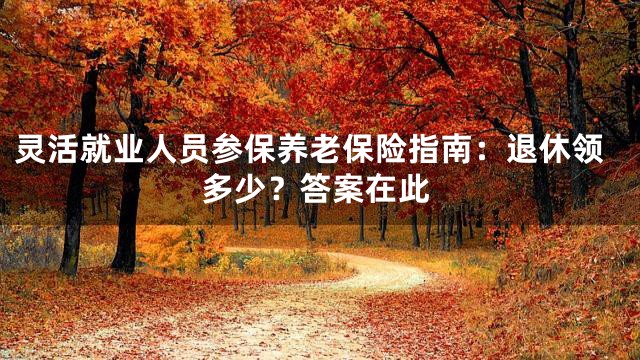 灵活就业人员参保养老保险指南：退休领多少？答案在此