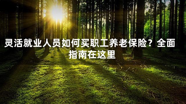 灵活就业人员如何买职工养老保险？全面指南在这里