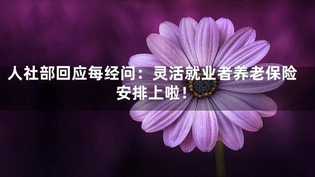 人社部回应每经问：灵活就业者养老保险安排上啦！