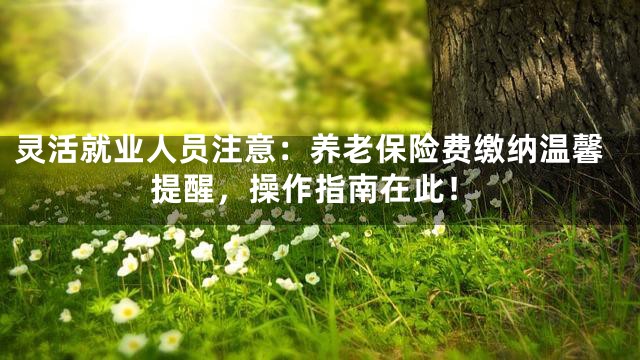 灵活就业人员注意：养老保险费缴纳温馨提醒，操作指南在此！