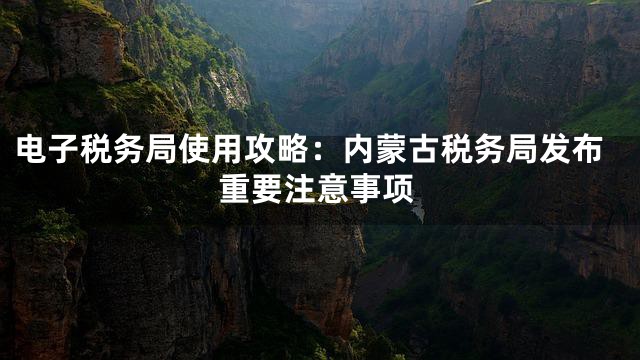 电子税务局使用攻略：内蒙古税务局发布重要注意事项