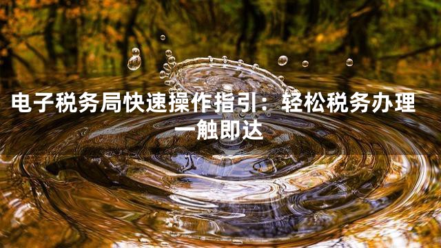 电子税务局快速操作指引：轻松税务办理一触即达