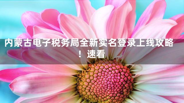 内蒙古电子税务局全新实名登录上线攻略！速看