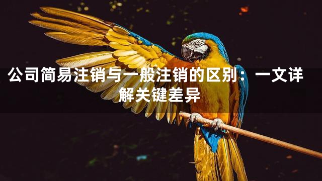 公司简易注销与一般注销的区别：一文详解关键差异