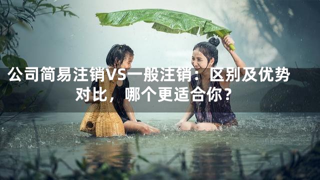 公司简易注销VS一般注销：区别及优势对比，哪个更适合你？
