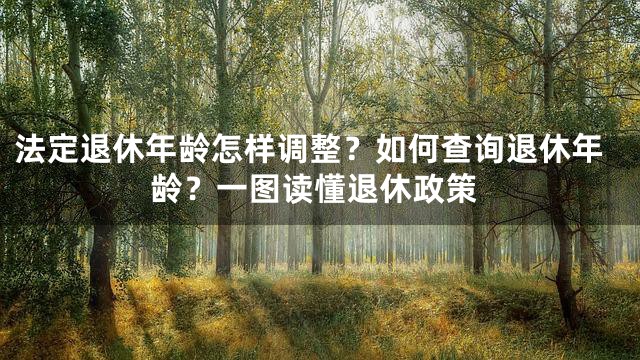 法定退休年龄怎样调整？如何查询退休年龄？一图读懂退休政策