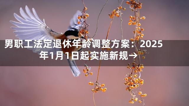男职工法定退休年龄调整方案：2025年1月1日起实施新规→