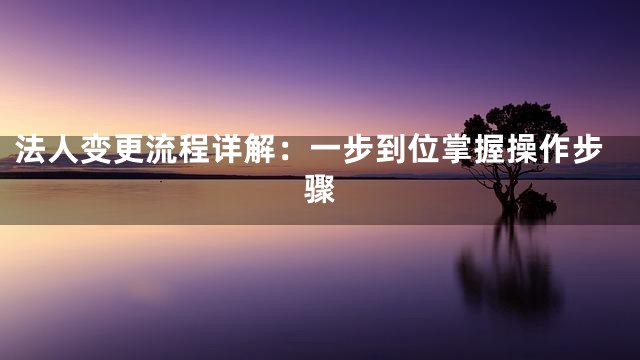 法人变更流程详解：一步到位掌握操作步骤