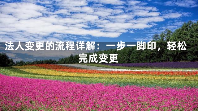 法人变更的流程详解：一步一脚印，轻松完成变更