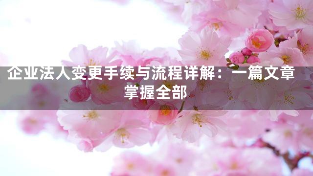 企业法人变更手续与流程详解：一篇文章掌握全部