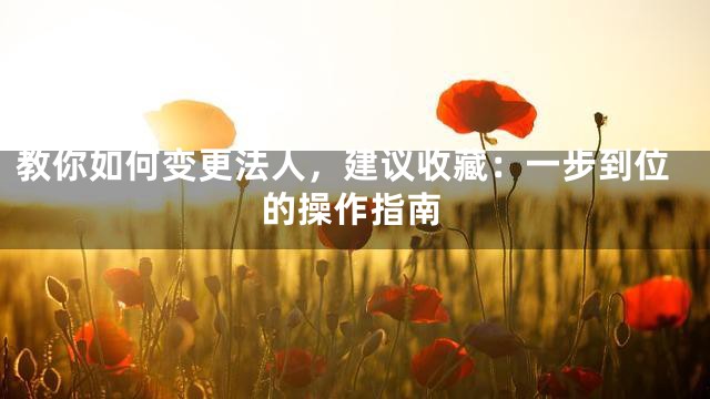 教你如何变更法人，建议收藏：一步到位的操作指南