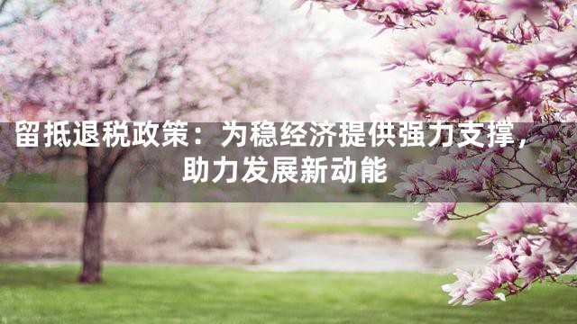 留抵退税政策：为稳经济提供强力支撑，助力发展新动能