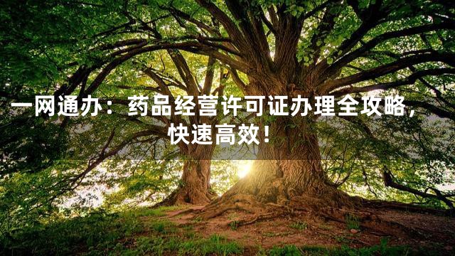 一网通办：药品经营许可证办理全攻略，快速高效！