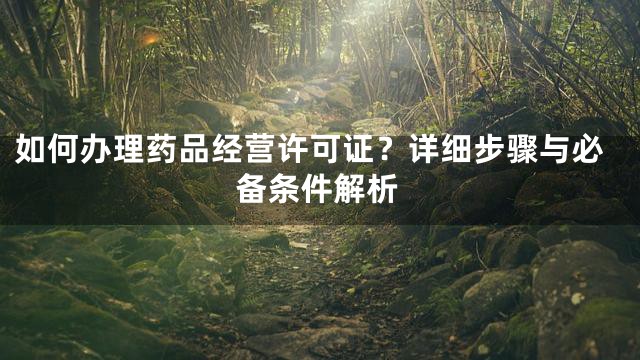如何办理药品经营许可证？详细步骤与必备条件解析