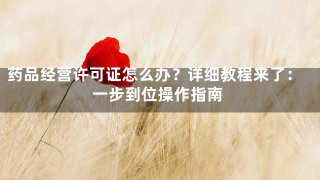 药品经营许可证怎么办？详细教程来了：一步到位操作指南