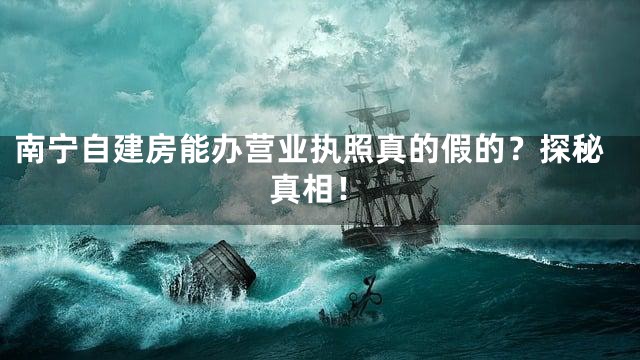 南宁自建房能办营业执照真的假的？探秘真相！