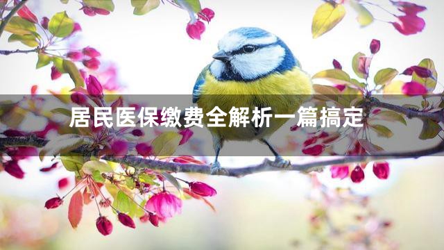 居民医保缴费全解析一篇搞定