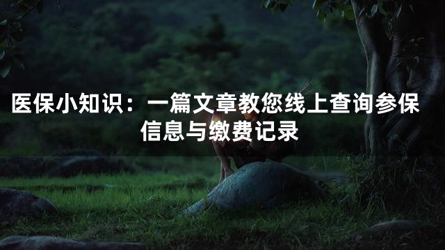 医保小知识：一篇文章教您线上查询参保信息与缴费记录