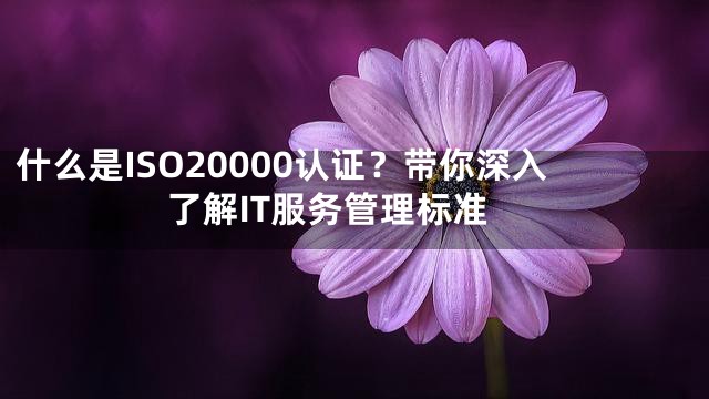 什么是ISO20000认证？带你深入了解IT服务管理标准