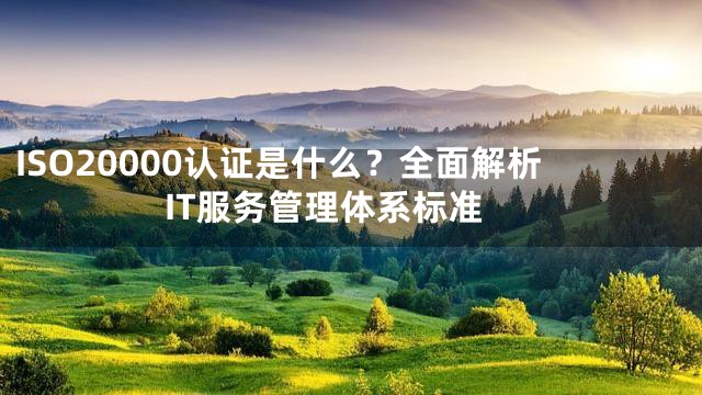 ISO20000认证是什么？全面解析IT服务管理体系标准