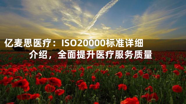 亿麦思医疗：ISO20000标准详细介绍，全面提升医疗服务质量
