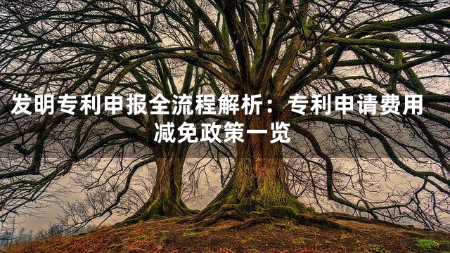 发明专利申报全流程解析：专利申请费用减免政策一览