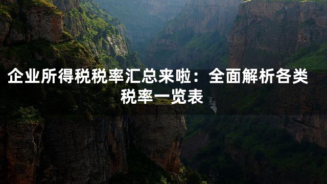 企业所得税税率汇总来啦：全面解析各类税率一览表
