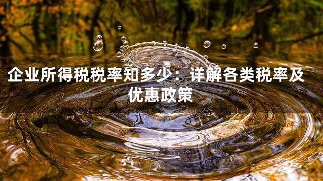 企业所得税税率知多少：详解各类税率及优惠政策