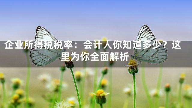 企业所得税税率：会计人你知道多少？这里为你全面解析