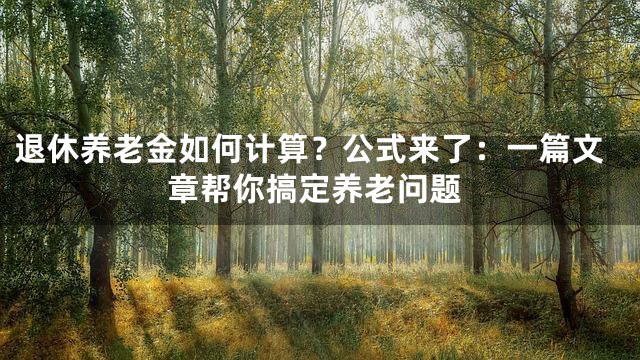 退休养老金如何计算？公式来了：一篇文章帮你搞定养老问题