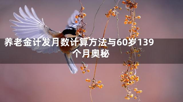 养老金计发月数计算方法与60岁139个月奥秘