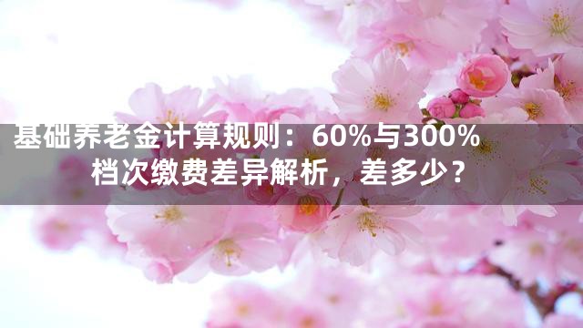 基础养老金计算规则：60%与300%档次缴费差异解析，差多少？