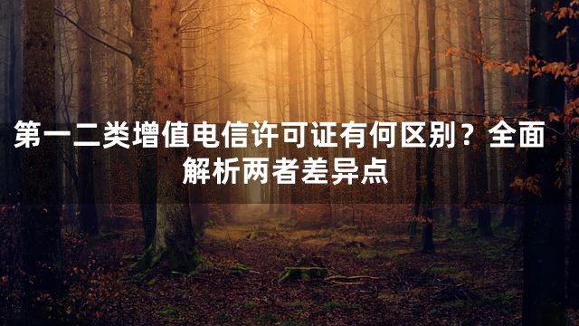 第一二类增值电信许可证有何区别？全面解析两者差异点