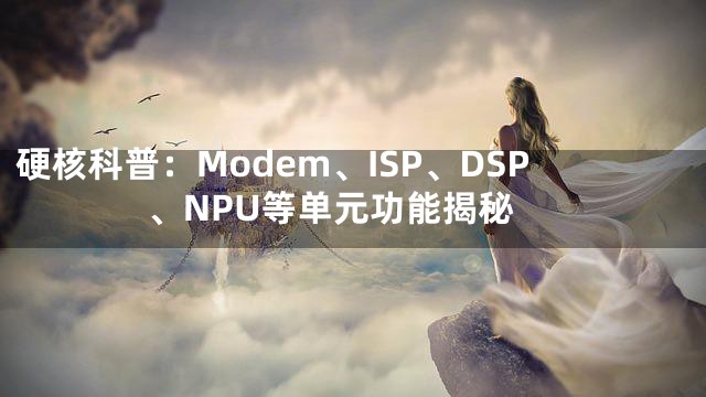 硬核科普：Modem、ISP、DSP、NPU等单元功能揭秘