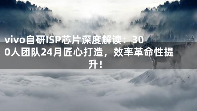 vivo自研ISP芯片深度解读：300人团队24月匠心打造，效率革命性提升！