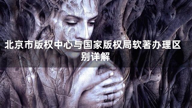 北京市版权中心与国家版权局软著办理区别详解